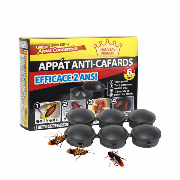 Éliminez les cafards à la source — pas seulement ceux que vous voyez