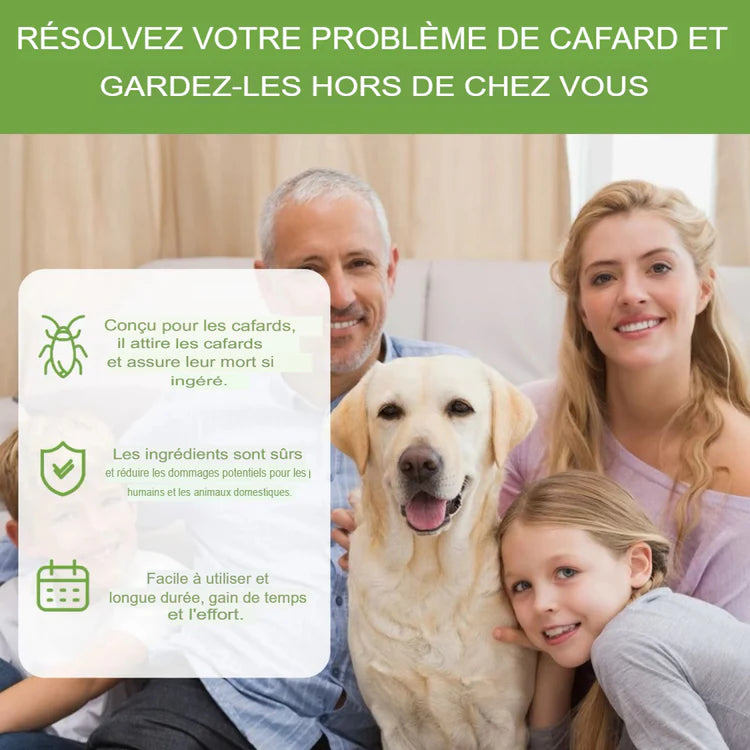 Éliminez les cafards à la source — pas seulement ceux que vous voyez