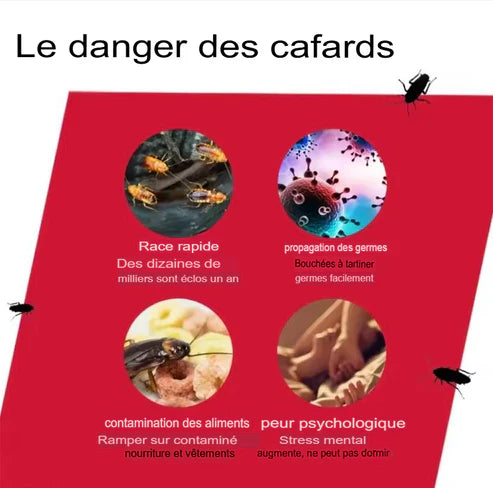 Éliminez les cafards à la source — pas seulement ceux que vous voyez