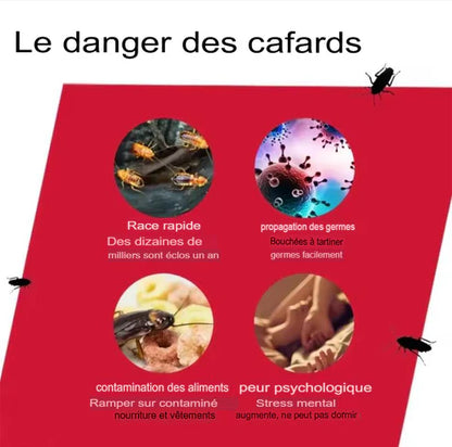 Éliminez les cafards à la source — pas seulement ceux que vous voyez